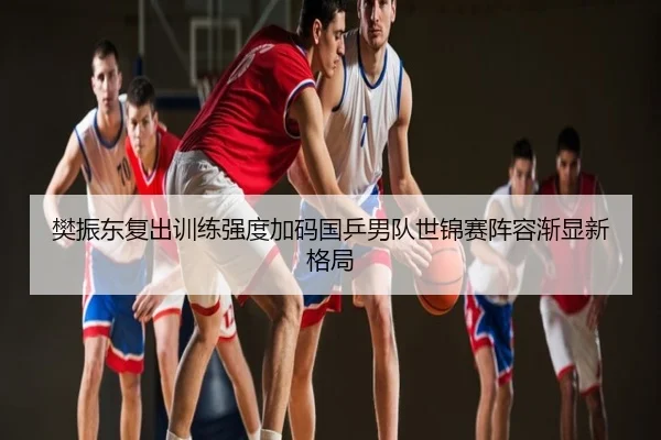 樊振东复出训练强度加码国乒男队世锦赛阵容渐显新格局
