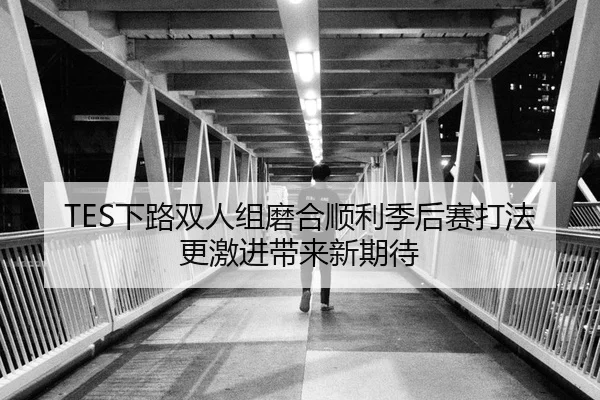 TES下路双人组磨合顺利季后赛打法更激进带来新期待