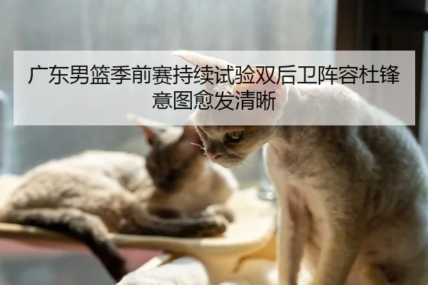 广东男篮季前赛持续试验双后卫阵容杜锋意图愈发清晰