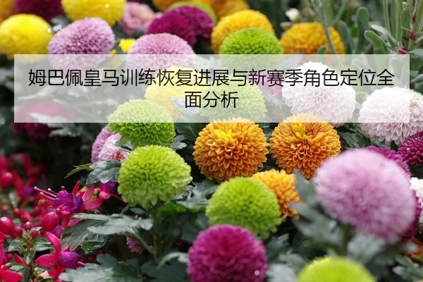 姆巴佩皇马训练恢复进展与新赛季角色定位全面分析
